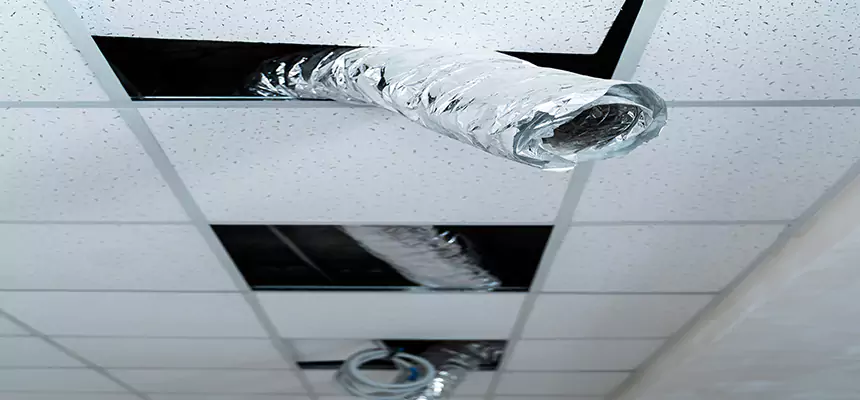 Affordable HVAC Sanitizing After Pest Removal in Great Bend