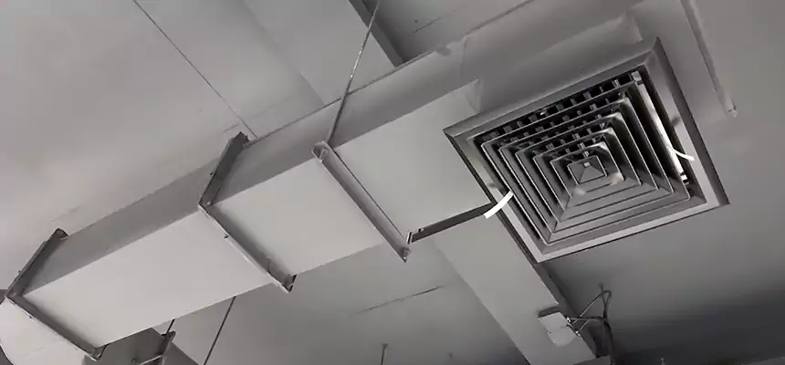 Our Pest Removal From Ducts Services in Great Bend, KS