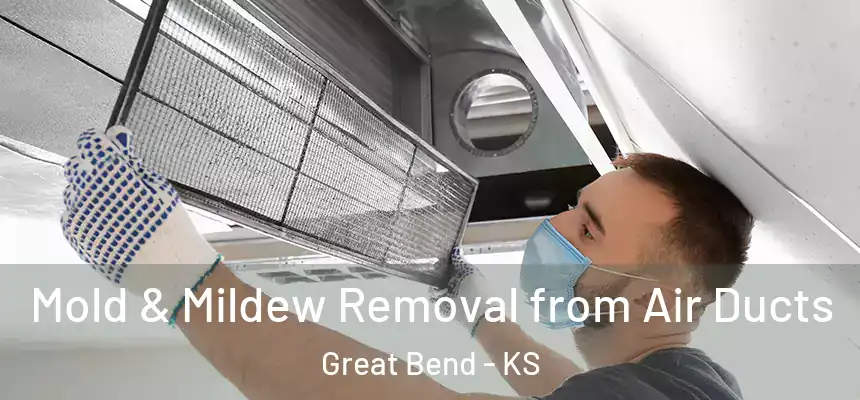  Mold & Mildew Removal from Air Ducts Great Bend - KS