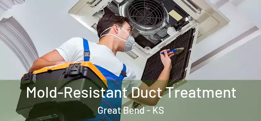  Mold-Resistant Duct Treatment Great Bend - KS
